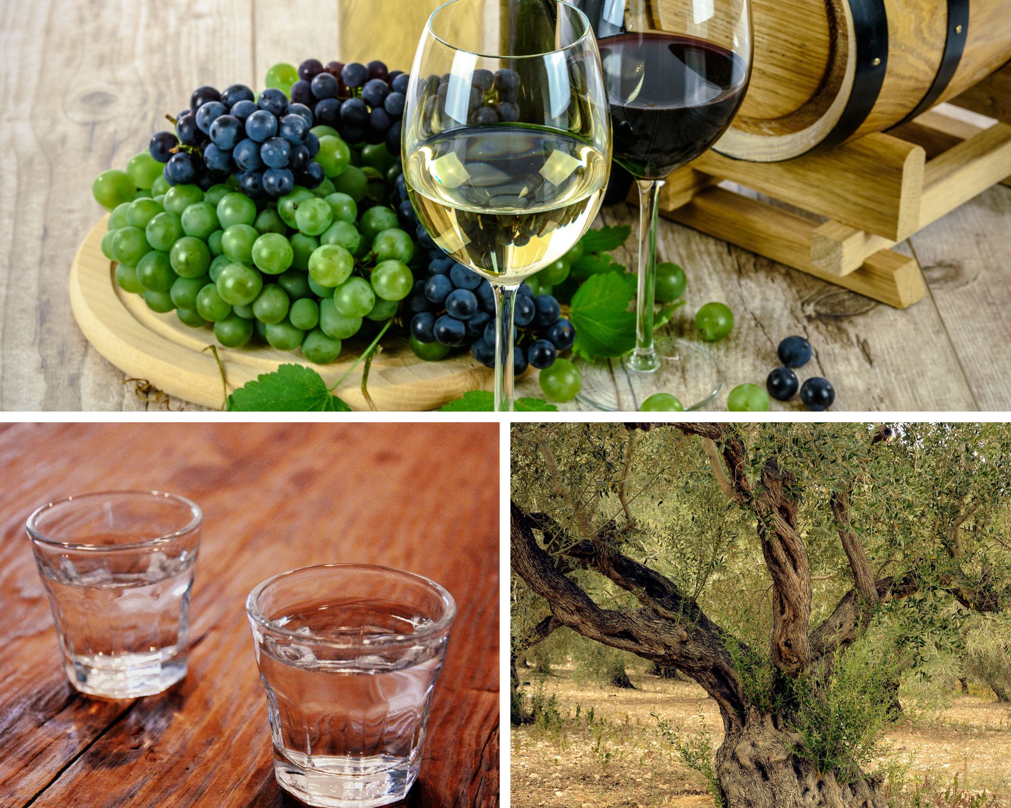 Crete’s Timeless Treasures: A Cultural Journey Through Wine, Ancient Olives, and Sacred Monasteries