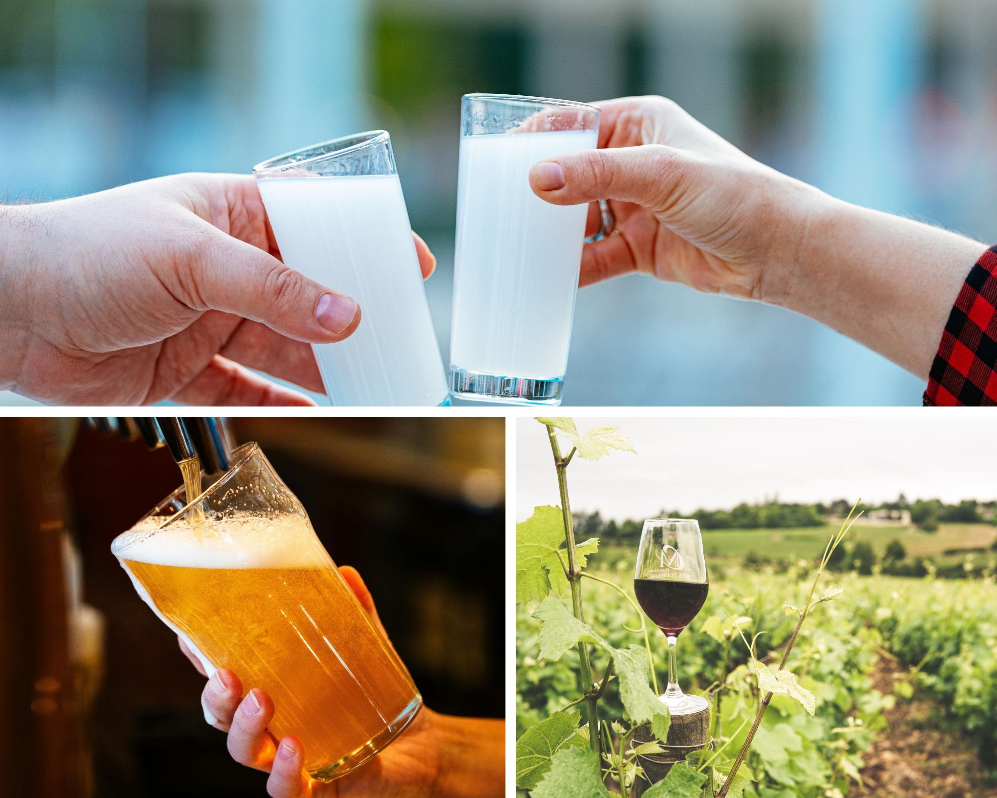 Greek Spirits, Beer & Wine Tasting Experience with Food Pairings