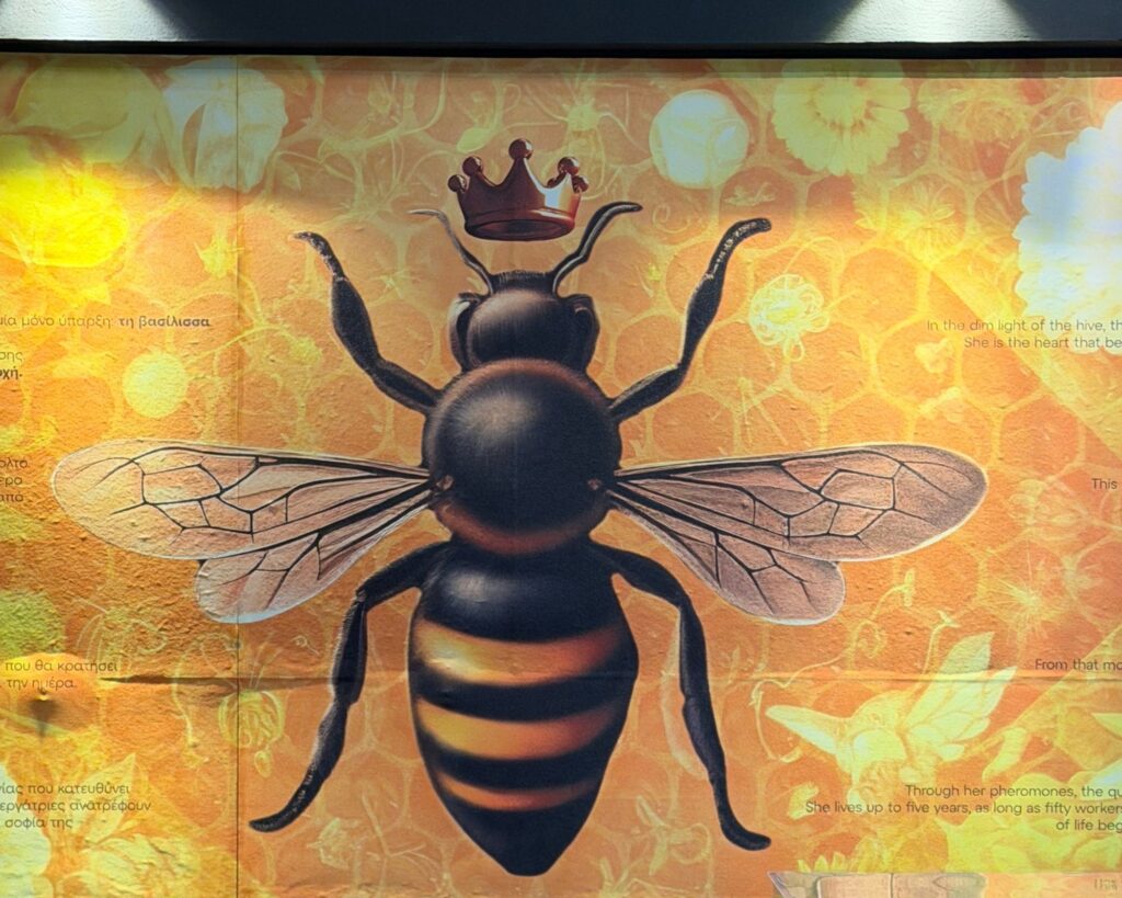 New Museum Greece: Bee Museum in Nafpaktos