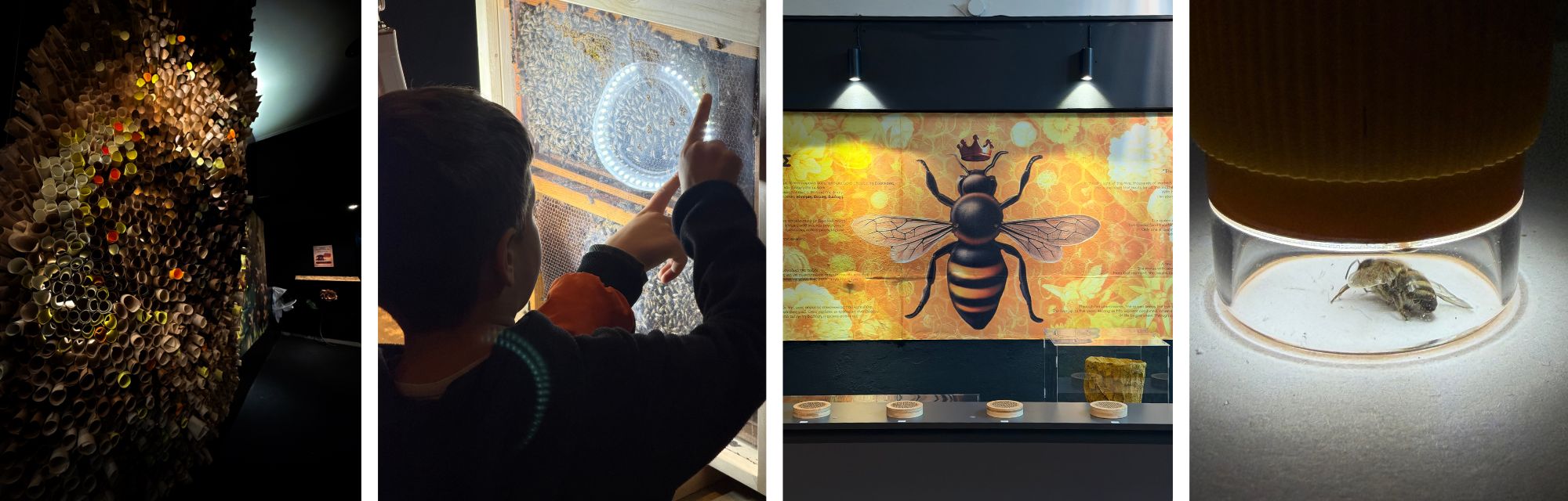 New Museum Greece: Bee Museum in Nafpaktos